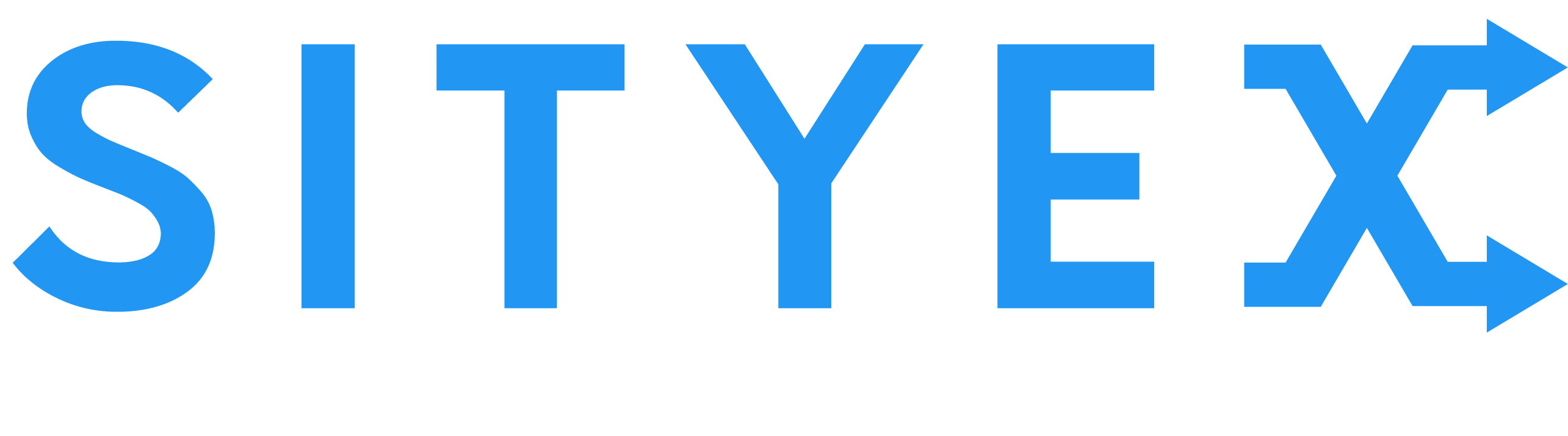 SityEx logo